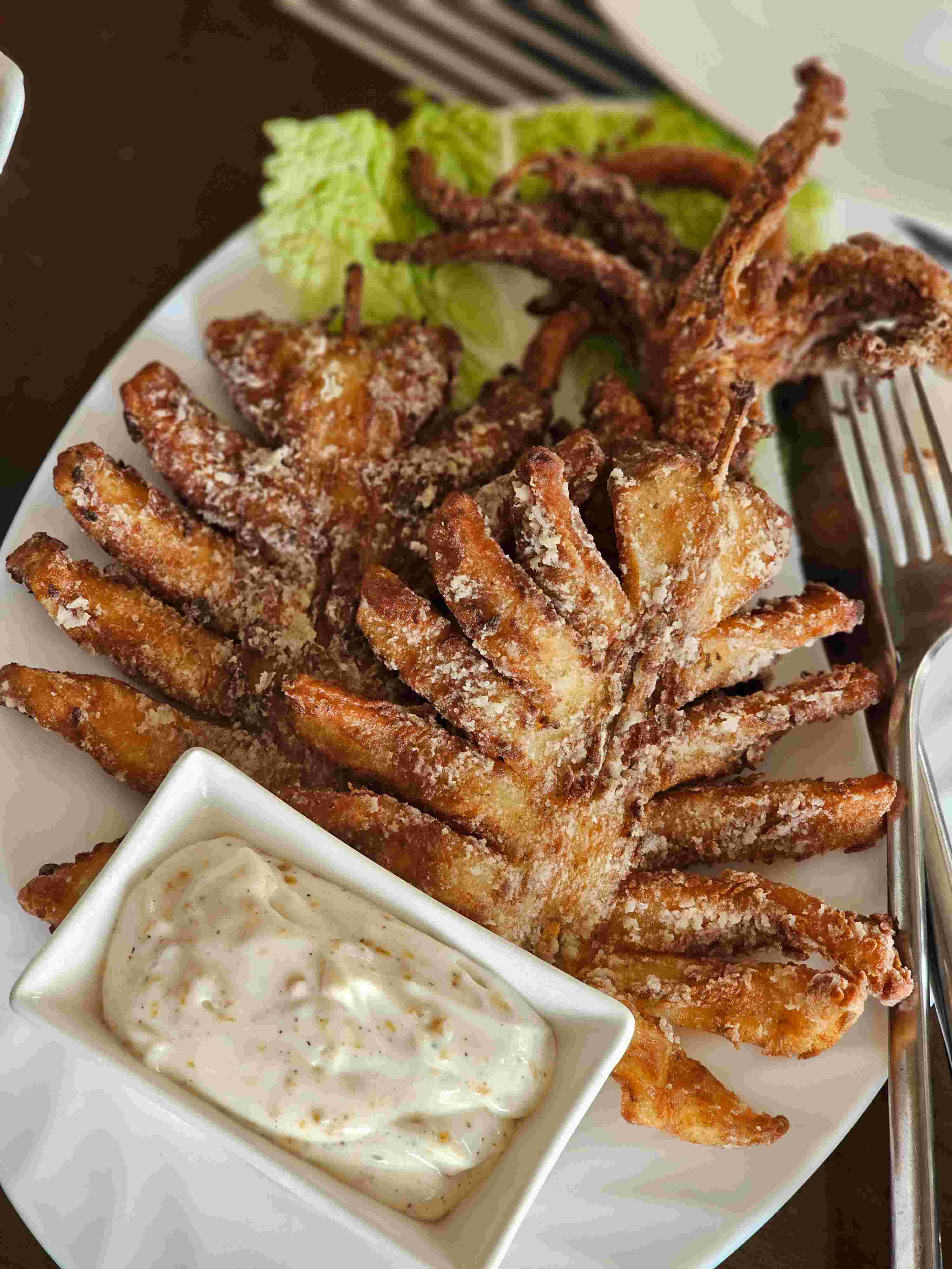 Butterfly Squid