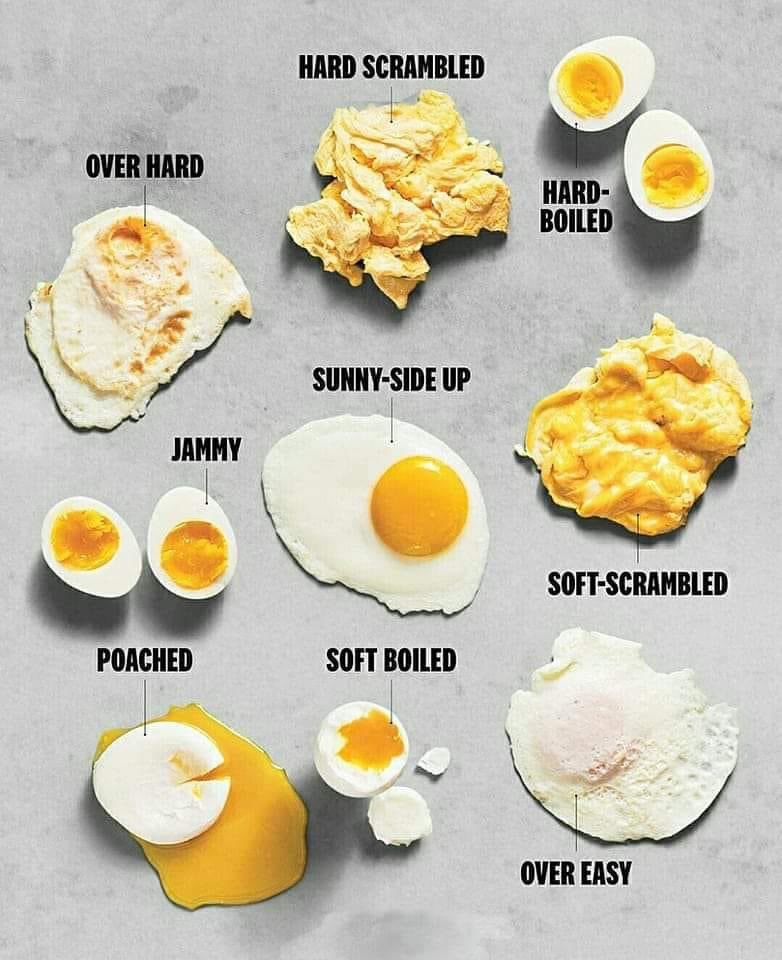 Egg